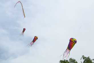 【社會】西洞庭管理區(qū)首屆風(fēng)箏節(jié)成功舉行