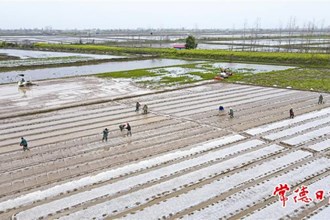 【社會(huì)】春日田野的蝶變