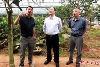 周振宇在澧縣調(diào)研時(shí)強(qiáng)調(diào)：以產(chǎn)業(yè)大發(fā)展帶動(dòng)鄉(xiāng)村大振興推動(dòng)農(nóng)業(yè)農(nóng)村現(xiàn)代化