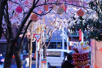 2023年度“發(fā)現(xiàn)常德之美”影像征集大賽第1期作品選登