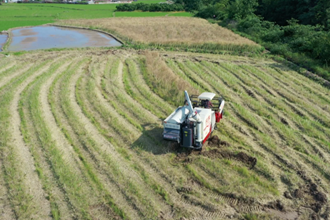 【社會(huì)】漢壽：油菜機(jī)收忙 農(nóng)戶增收樂