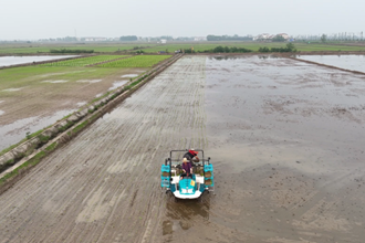 【社會(huì)】西湖：機(jī)械化助力春播提速增效