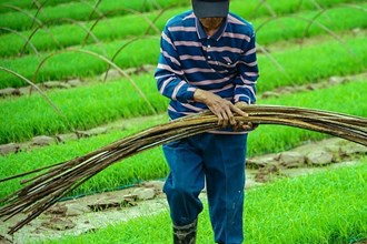 2023年度“發(fā)現(xiàn)常德之美”影像征集大賽第6期作品選登