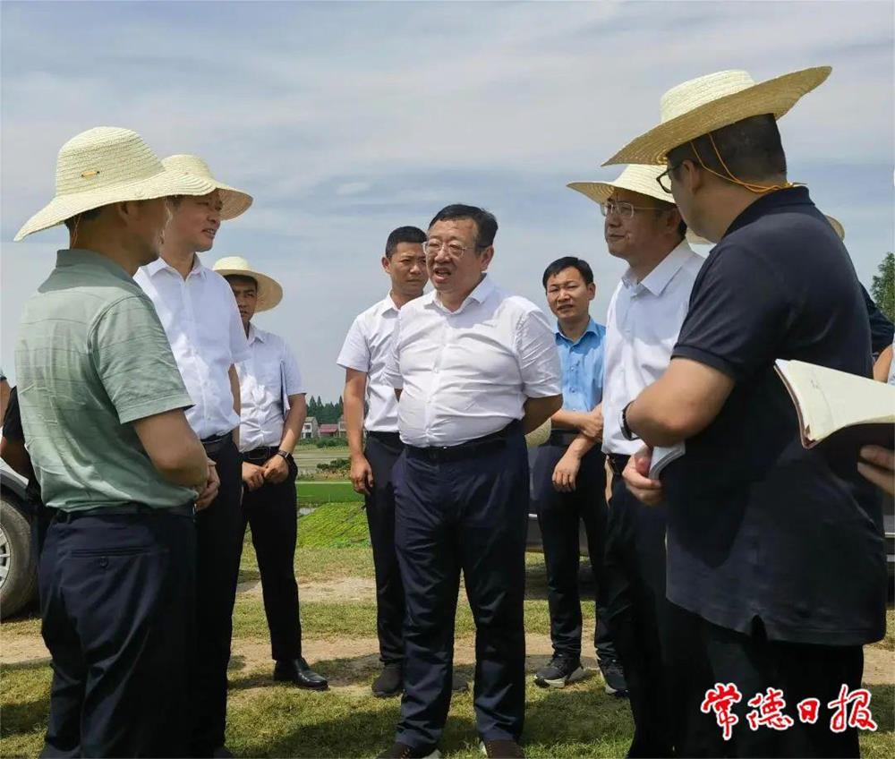 1729bdb6185c479d93b1bd43385ec7bf.jpg 1729bdb6185c479d93b1bd43385ec7bf.jpg