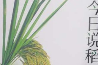 【文化】《今日說(shuō)稻》公開(kāi)出版 湘北水稻試驗(yàn)站為水稻生產(chǎn)著書立說(shuō)