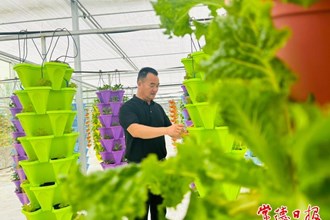 【攝影報(bào)道】安鄉(xiāng)綠蔬園現(xiàn)代農(nóng)業(yè)產(chǎn)業(yè)園即將開(kāi)園