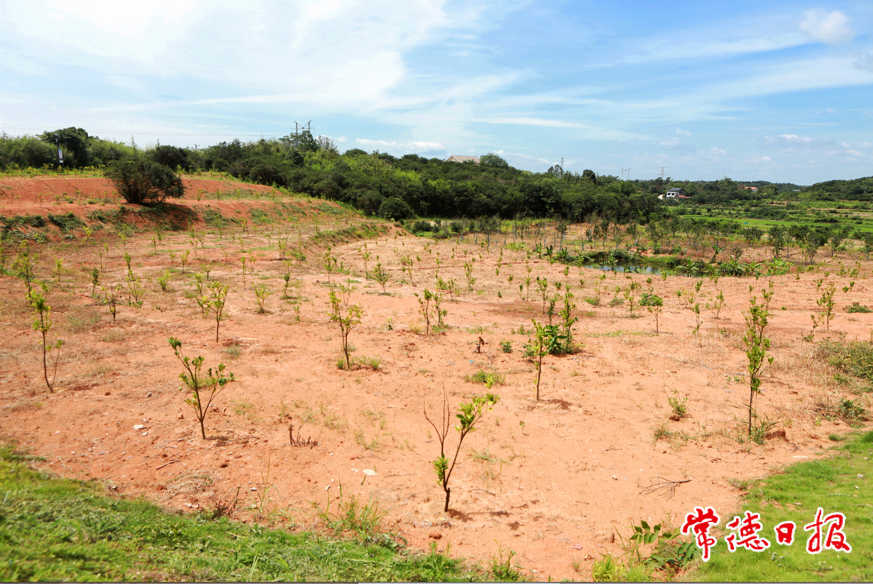 dbf5277fab5f4076923270d579375c9e.png dbf5277fab5f4076923270d579375c9e.png