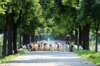 2023年度“發(fā)現(xiàn)常德之美”影像征集大賽第8期作品選登