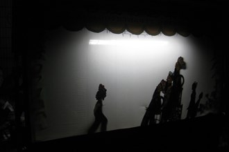 省級(jí)：皮影戲（澧州皮影戲）