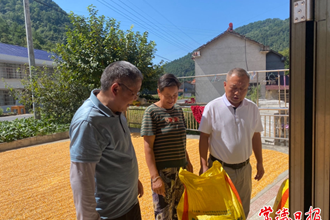 【經(jīng)濟(jì)】豐收了！石門玉米高產(chǎn)示范點(diǎn)平均單產(chǎn)超550公斤