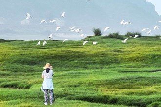 2023年度“發(fā)現(xiàn)常德之美”影像征集大賽第14期作品選登