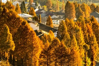 2023年度“發(fā)現(xiàn)常德之美”影像征集大賽第19期作品選登