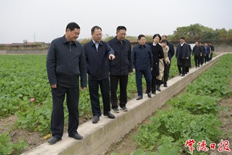 周振宇在市農(nóng)科院調(diào)研時強調(diào)：為常德加快從農(nóng)業(yè)大市 邁向農(nóng)業(yè)強市作出更大貢獻