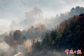 【發(fā)現(xiàn)常德之美專版】初冬暖陽