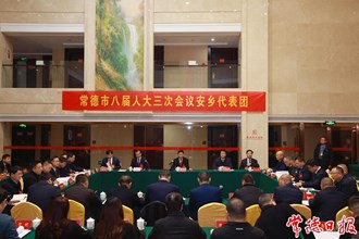 曹志強參加安鄉(xiāng)代表團審議