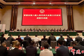 周振宇參加武陵代表團審議