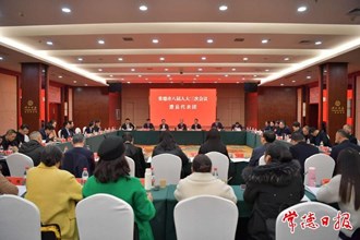 周振宇參加澧縣代表團審議