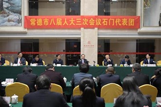 周振宇參加石門、漢壽代表團分組審議