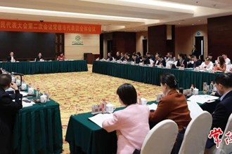 常德代表團集中審議省政府工作報告及其他報告