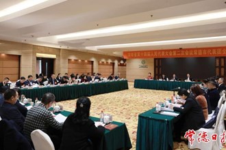 省十四屆人大二次會議常德代表團召開第五次全體會議