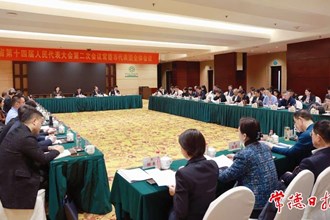 常德代表團(tuán)集中審議省高院、省檢察院工作報告