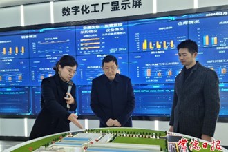 市領(lǐng)導開展安全生產(chǎn)督導檢查