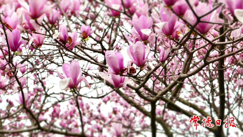 15a36b176b724135bbecc426e9783ec3.jpg 15a36b176b724135bbecc426e9783ec3.jpg