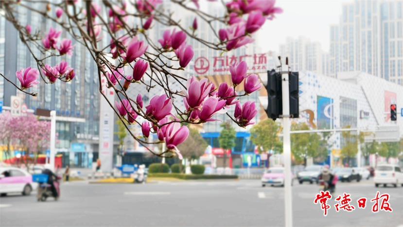 6d1d3edb5d2946b7bda082da68259243.jpg 6d1d3edb5d2946b7bda082da68259243.jpg