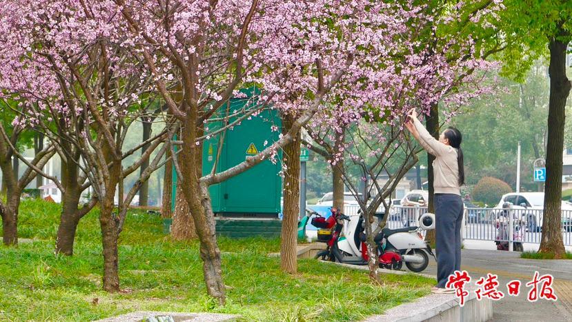 7b2f91047e8d4cd0868e042ef8e75649.jpg 7b2f91047e8d4cd0868e042ef8e75649.jpg