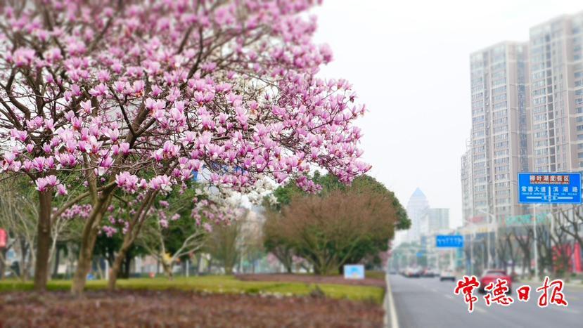 80f742be6a19433d800a858fb8e3a5fc.jpg 80f742be6a19433d800a858fb8e3a5fc.jpg