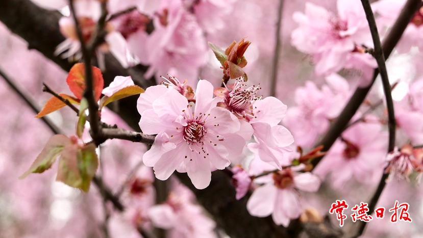 996b2ae5ce1146cbb6972bcf0d6ff9e4.jpg 996b2ae5ce1146cbb6972bcf0d6ff9e4.jpg