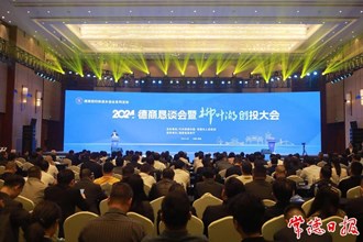 常德市舉辦2024年德商懇談會暨柳葉湖創(chuàng)投大會