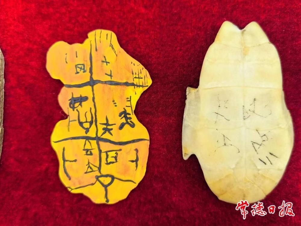 584880f7be134378a0d3f022ac863a6b.jpg 584880f7be134378a0d3f022ac863a6b.jpg