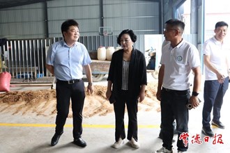 市領導到石門縣花園臺村調(diào)研鄉(xiāng)村振興工作