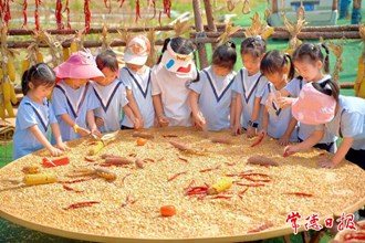 【武陵區(qū)】丹洲鄉(xiāng)丹野花田農(nóng)場：秋收運動會 萌娃嗨不停