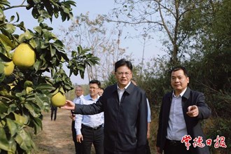 羅毅君調(diào)研臨澧縣經(jīng)濟(jì)社會(huì)發(fā)展情況