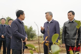 李殿勛在常德調(diào)研：堅(jiān)持依靠深化改革 加快推進(jìn)鄉(xiāng)村全面振興