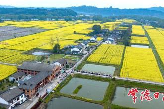 【組圖】桃花源白麟洲里的春日慢生活