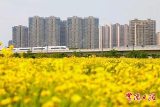 【組圖】與高鐵同框