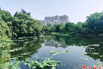 【組圖】“綠寶石”濱湖公園