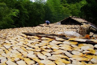 市級：花巖溪榨筍