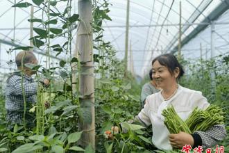 【經濟】沃土繪豐景 農旅促振興