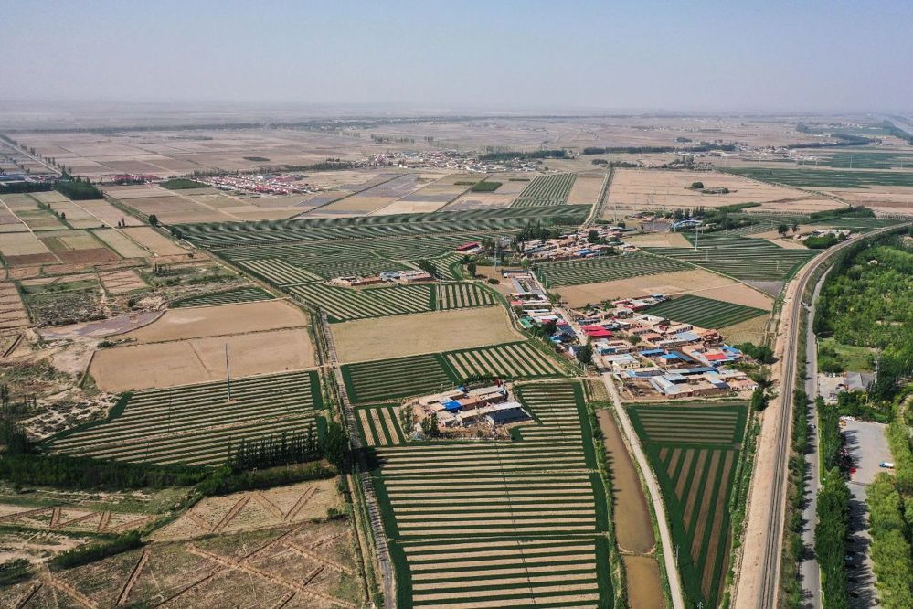 這是內(nèi)蒙古自治區(qū)巴彥淖爾市臨河區(qū)境內(nèi)的農(nóng)田。新華社記者 李志鵬/攝