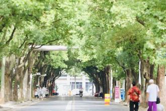 【組圖】去老街巷，拍舊時光