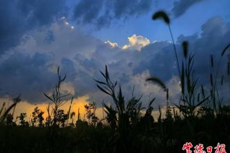 【攝影報(bào)道】陣雨來臨前常德的絕美云層