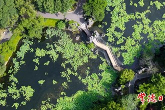 【賞花地圖】今夏，“荷”你有約