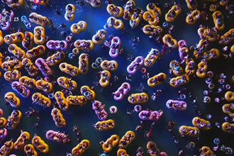 【何處寄相思 · 最憶柳葉湖】?