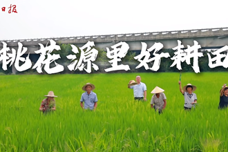 桃花源里好耕田