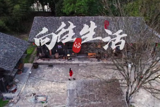 【常來常德 常“游”所得】白麟洲，向往的生活