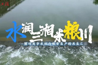 水潤三湘米糧川——解碼我市水利與糧食生產的共生之道